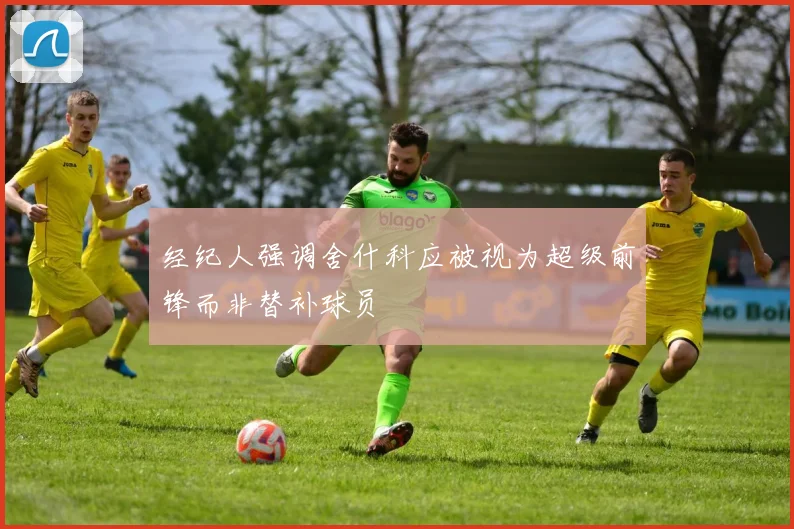 经纪人强调舍什科应被视为超级前锋而非替补球员